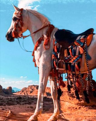 خُرج للخيل
