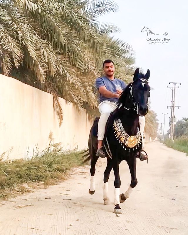 طقم مخمل مرصع بالمعدن