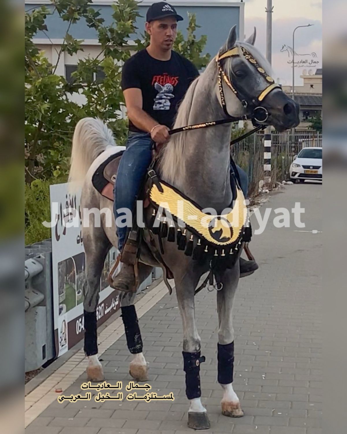 طقم مخمل مرصع بالمعدن الذهبي