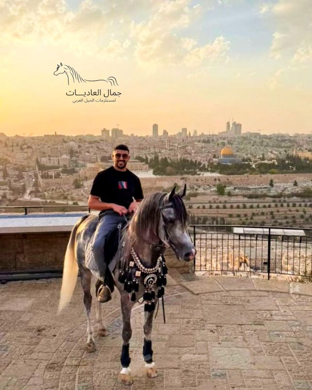 طقم زينة معدن / 3 قطع