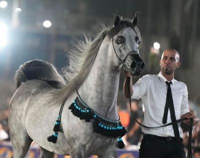 صدرية بولندية