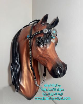 رشمة عرض جمال جلد مع لجام للافحول العربية