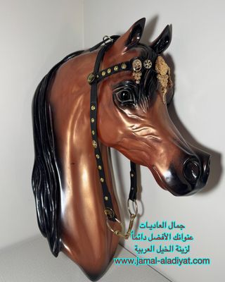رشمة عرض جمال جلد مع لجام للافحول العربية