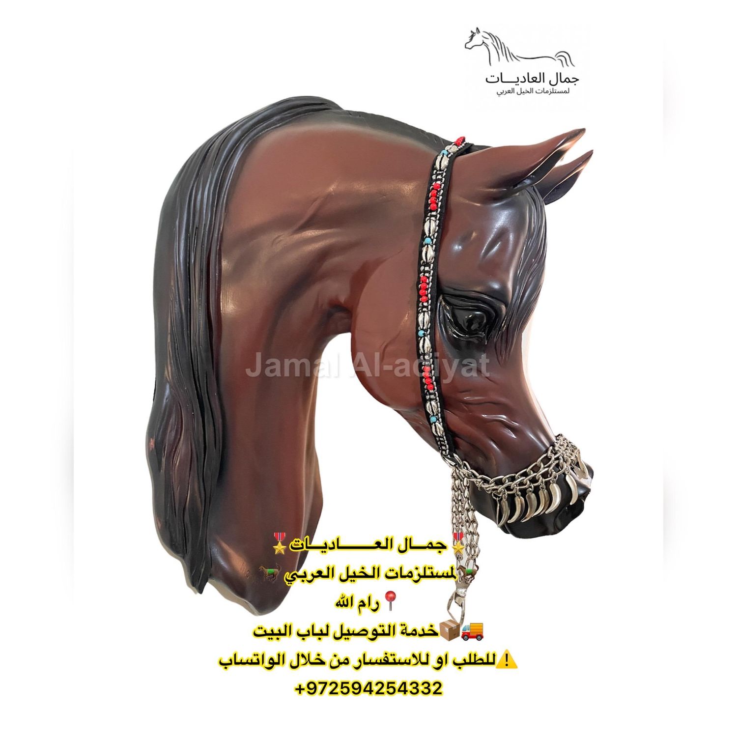 رشمة عرض جمال بالخرز والودع