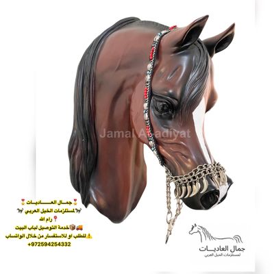 رشمة عرض جمال بالخرز والودع