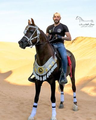 أطقم زينه (نحاس/معدن)