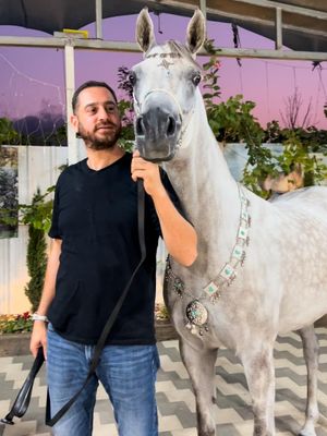 Arabian Horse Photo Session Set – Halter, Lead Rope, Chain &amp; Necklace