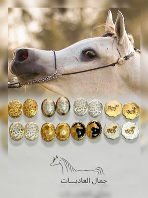 Arabian Horse Head Conchos