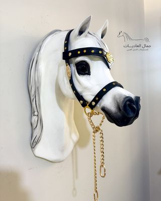 Arabian show halter under 6 months