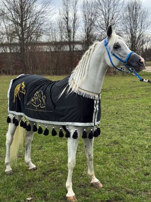 Embroidered Arabian horse show blanket with wool Tassel