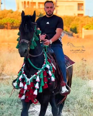 Palestine Flag - Handmade Wool Arabian Horse Decoration Set