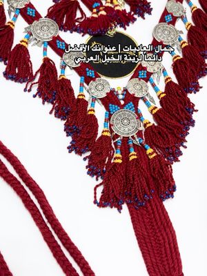 Heavy Wool Royal Shabend Set with Copper Embellishments