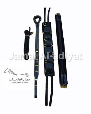 طقم ترويض / لونجات