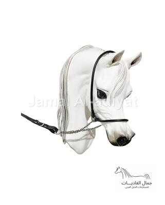 رشمة عرض جمال جلد