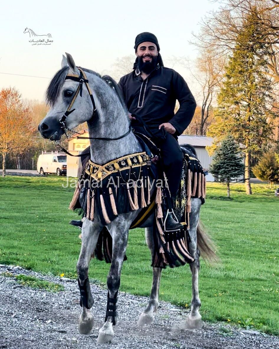 ِArabian Saddle With Long Tassel
