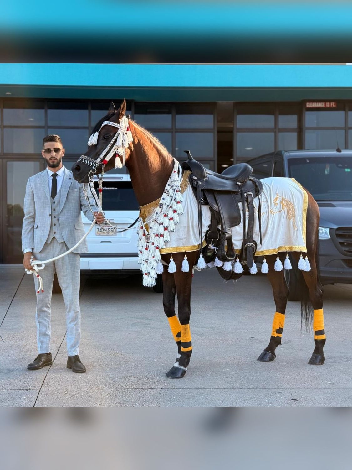 كوبان مخمل مطرز براس حصان بشرابة