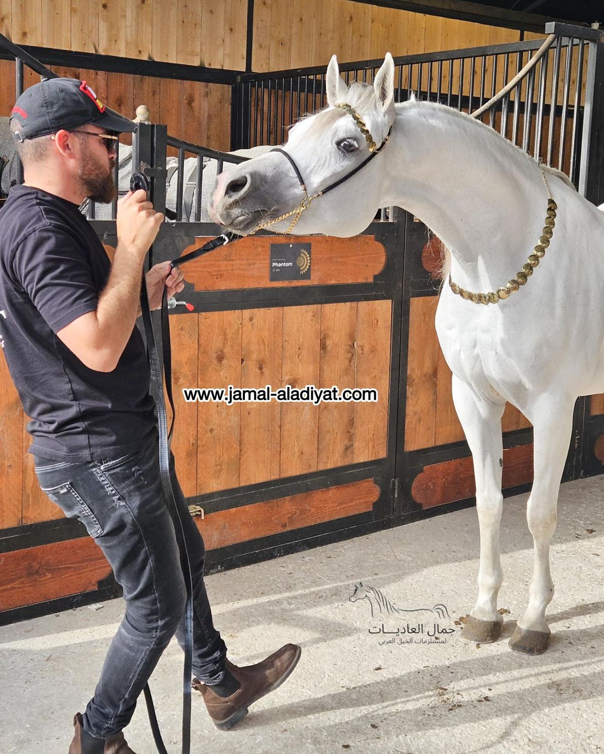 رشمة عرض جمال كابل صوف مع تاج