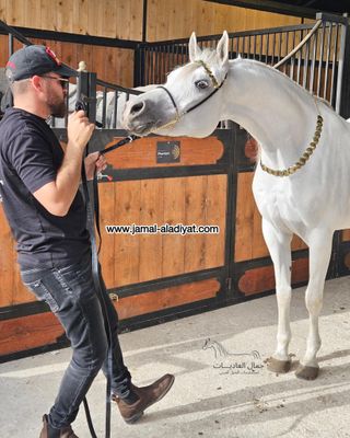 رشمة عرض جمال كابل صوف مع تاج