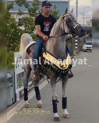 طقم مخمل مرصع بالمعدن الذهبي