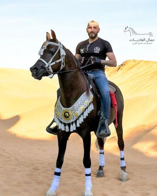 طقم مرصع بالمعدن