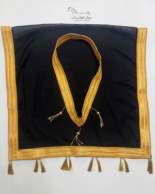 Necklace &amp; Scarf Albisht