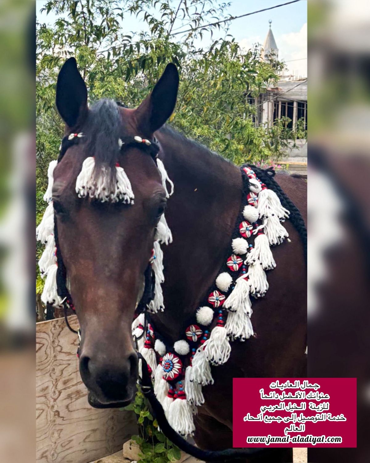 Bridle and breast collar sets / Pro