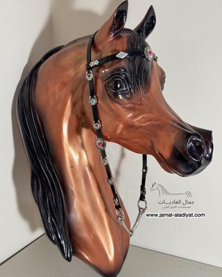 رشمة عرض جمال مع لجام للافحول العربية