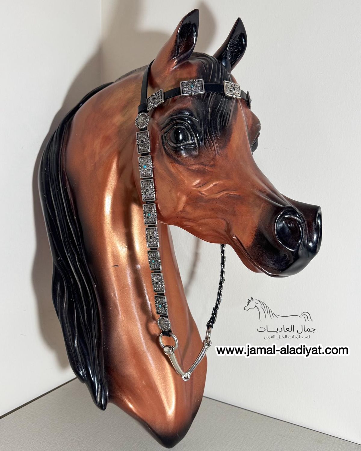رشمة عرض جمال مع لجام للافحول العربية