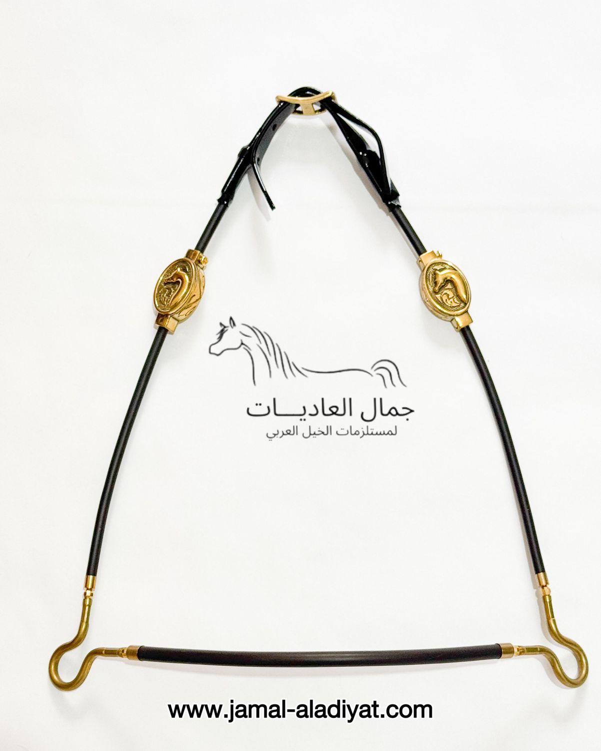 Arabian ​Show Halter for Foals -​Black with Gold Concho​ — Under 1 Year
