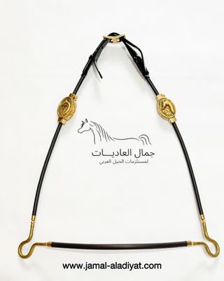 Arabian ​Show Halter for Foals -​Black with Gold Concho​ — Under 1 Year