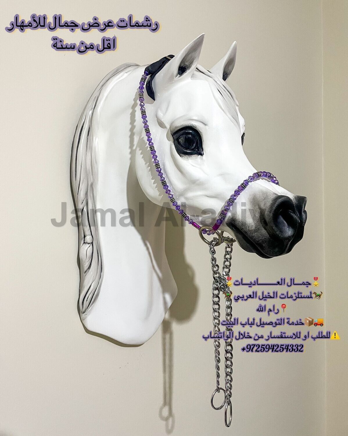 Arabian ​Show Halter for Foals - Purple — Under 1 Year