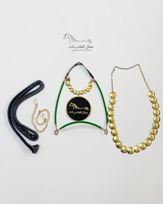 Arabian Horse Photo Session Set – Halter with Crown, Lead Rope, Chain &amp; Necklace