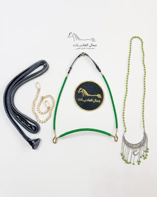 Arabian Horse Photo Session Set – Halter, Lead Rope, Chain &amp; Necklace