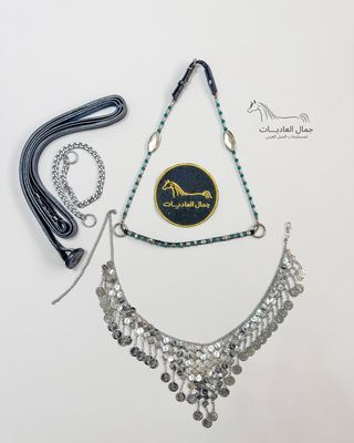 Arabian Horse Photo Session Set – Halter , Lead Rope, Chain &amp; Necklace