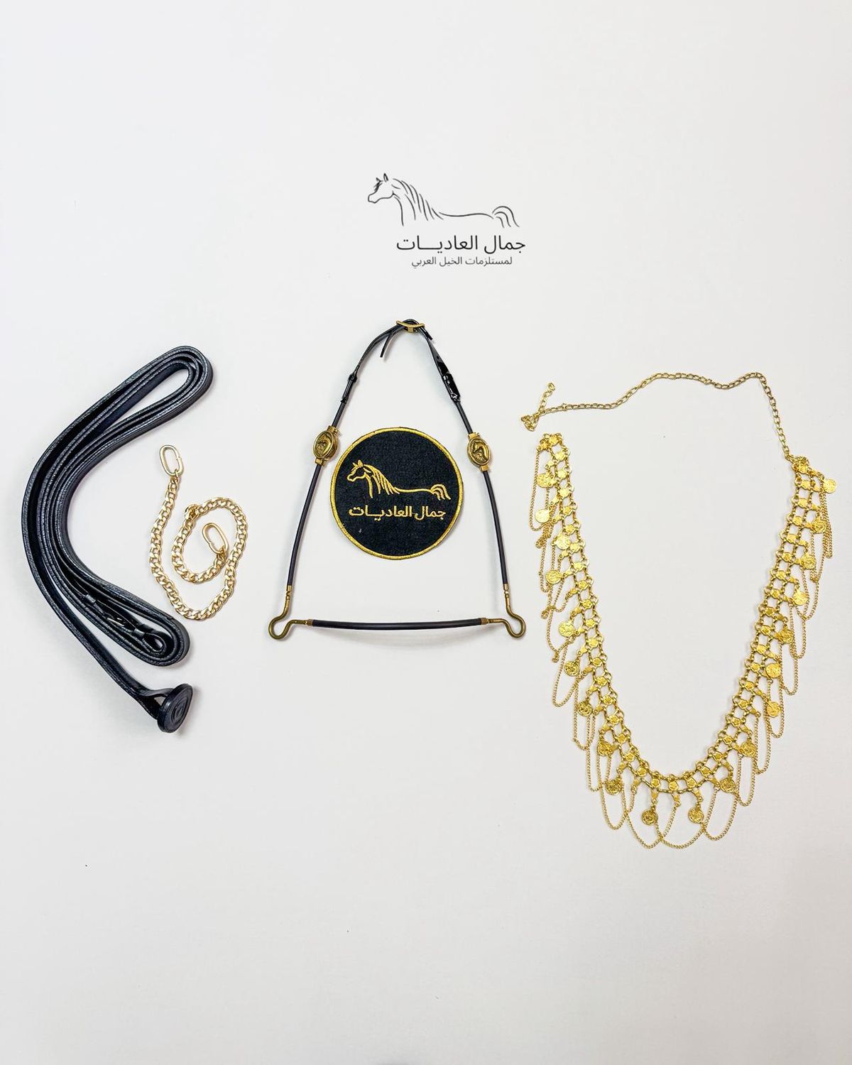 Arabian Horse Photo Session Set – Halter, Lead Rope, Chain &amp; Necklace