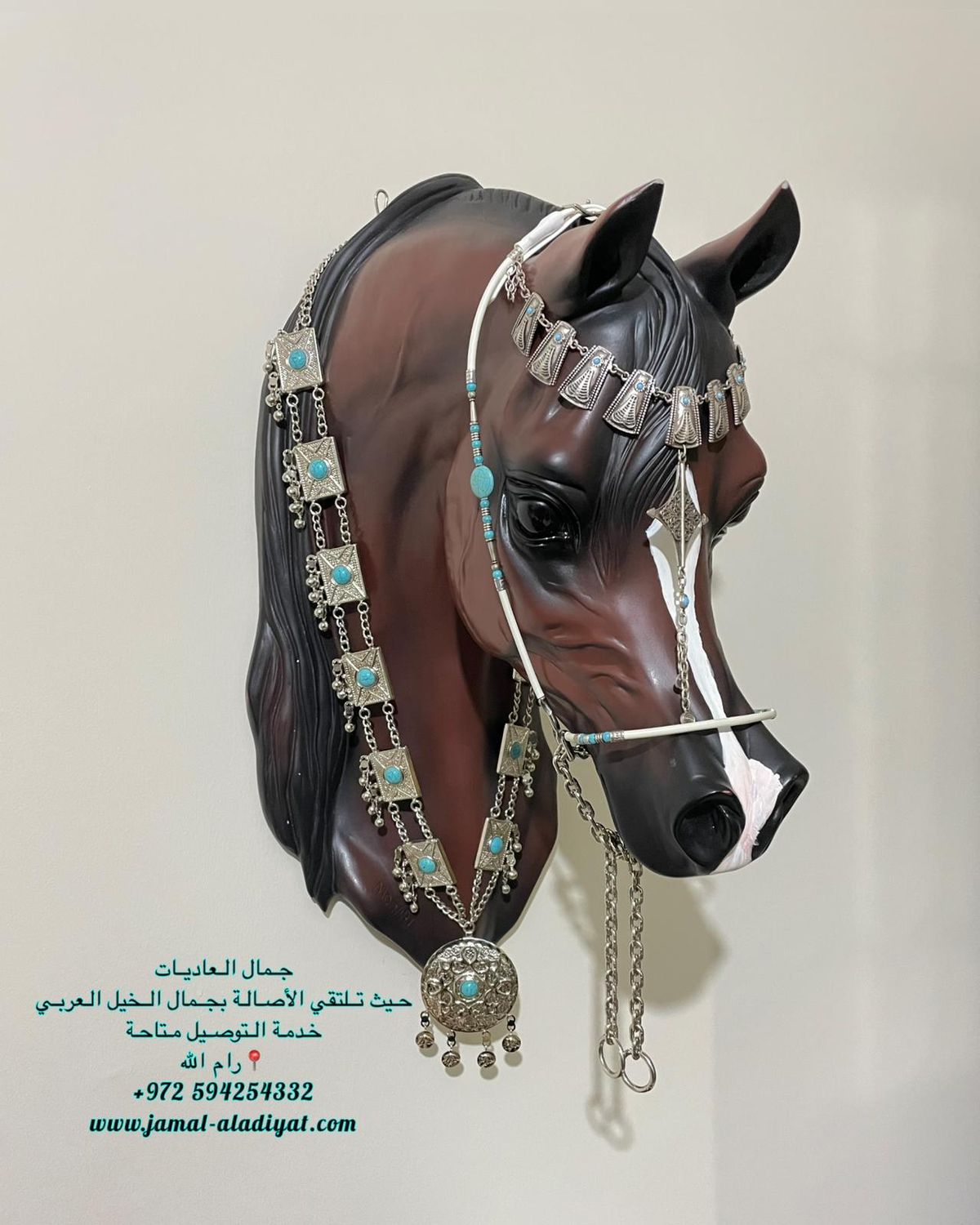 Arabian Horse Photo Session Set – Halter with Crown, Lead Rope, Chain &amp; Necklace