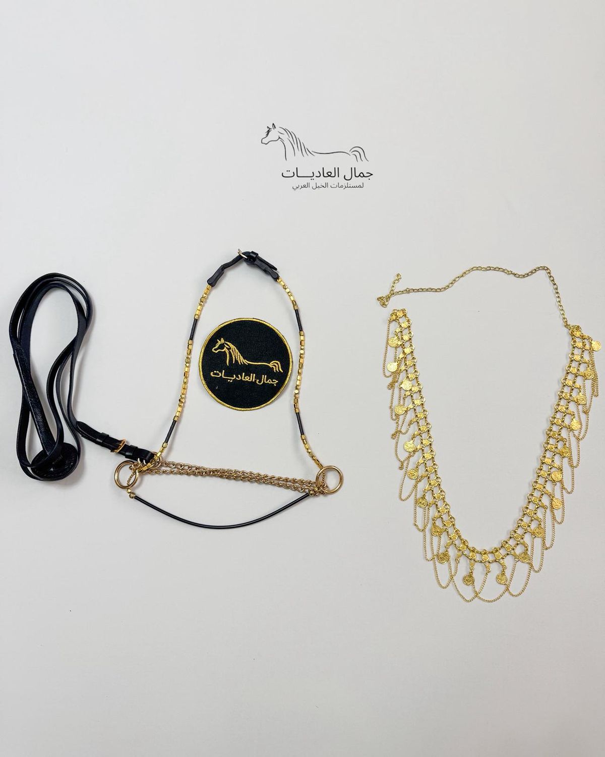 Arabian Horse Photo Session Set – Halter , Lead Rope, Chain &amp; Necklace