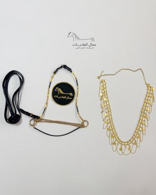Arabian Horse Photo Session Set – Halter , Lead Rope, Chain &amp; Necklace