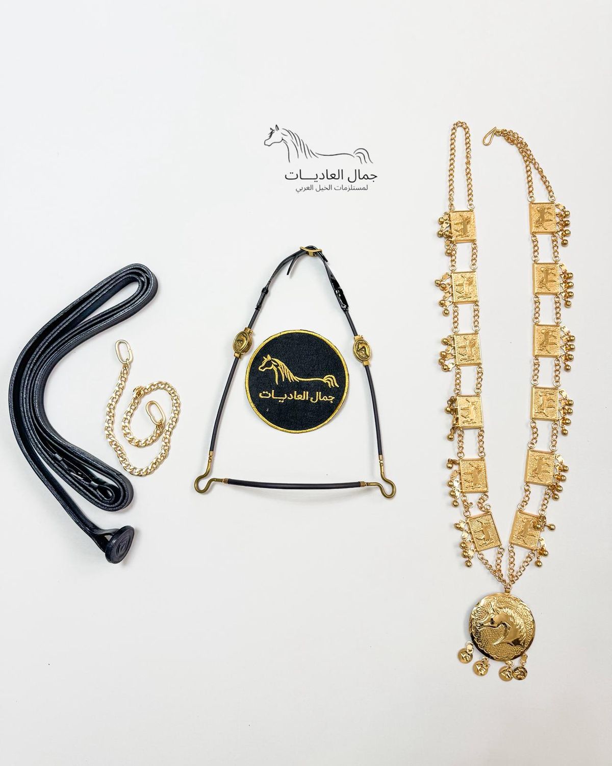 Arabian Horse Photo Session Set – Halter, Lead Rope, Chain &amp; Necklace