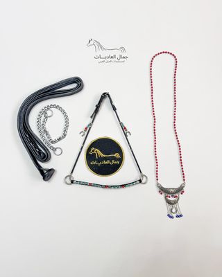 Arabian Horse Photo Session Set – Halter , Lead Rope, Chain &amp; Necklace