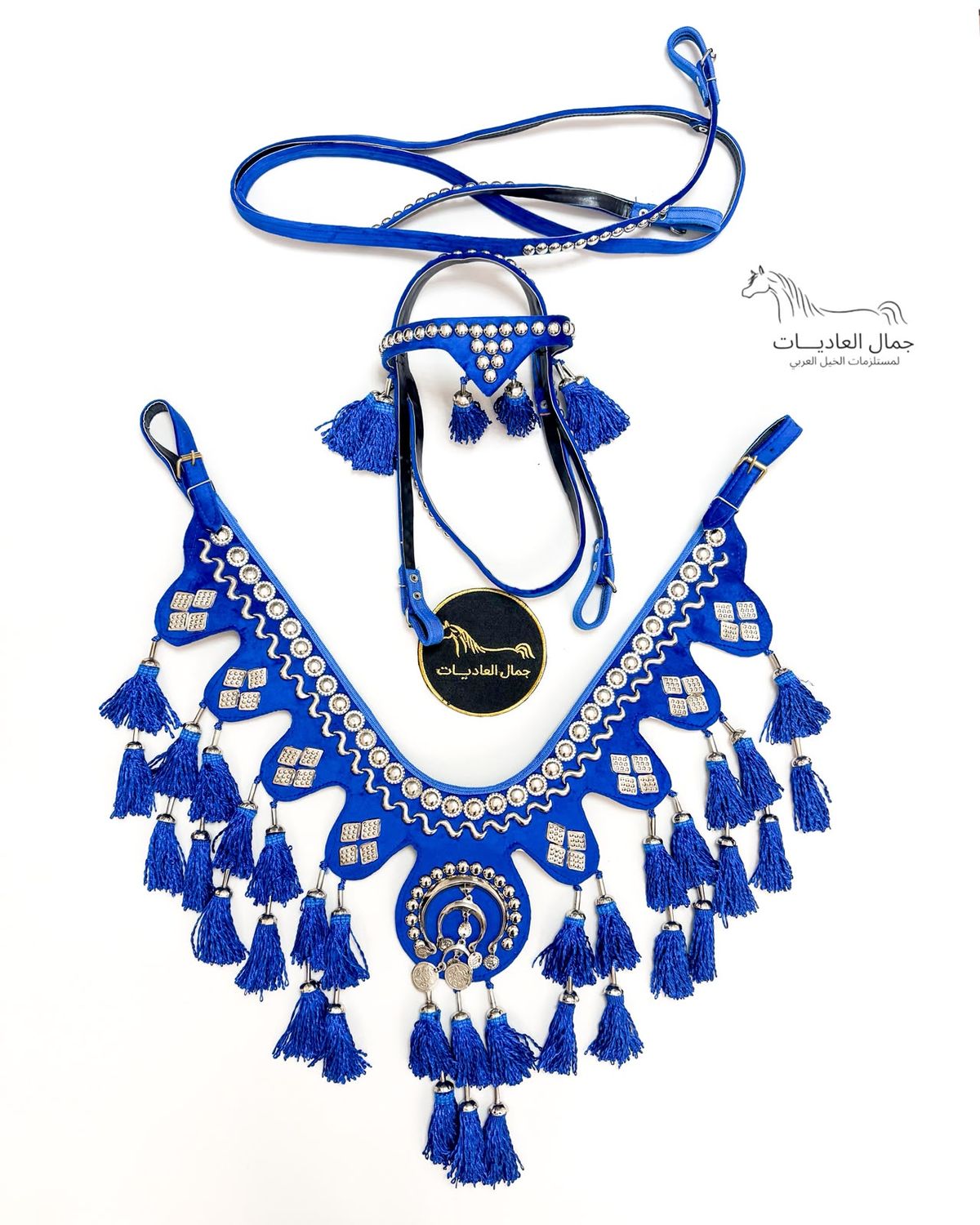 Arabian Velvet Set Embellished With Metal - Blue