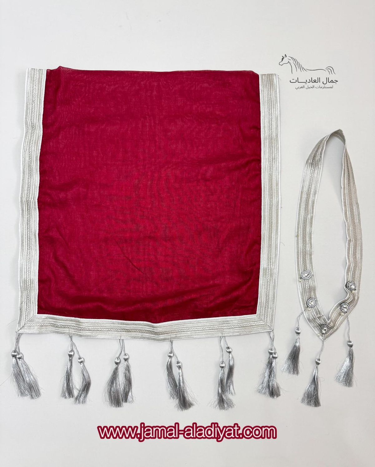 Necklace &amp; Scarf Albisht / Red With Silver