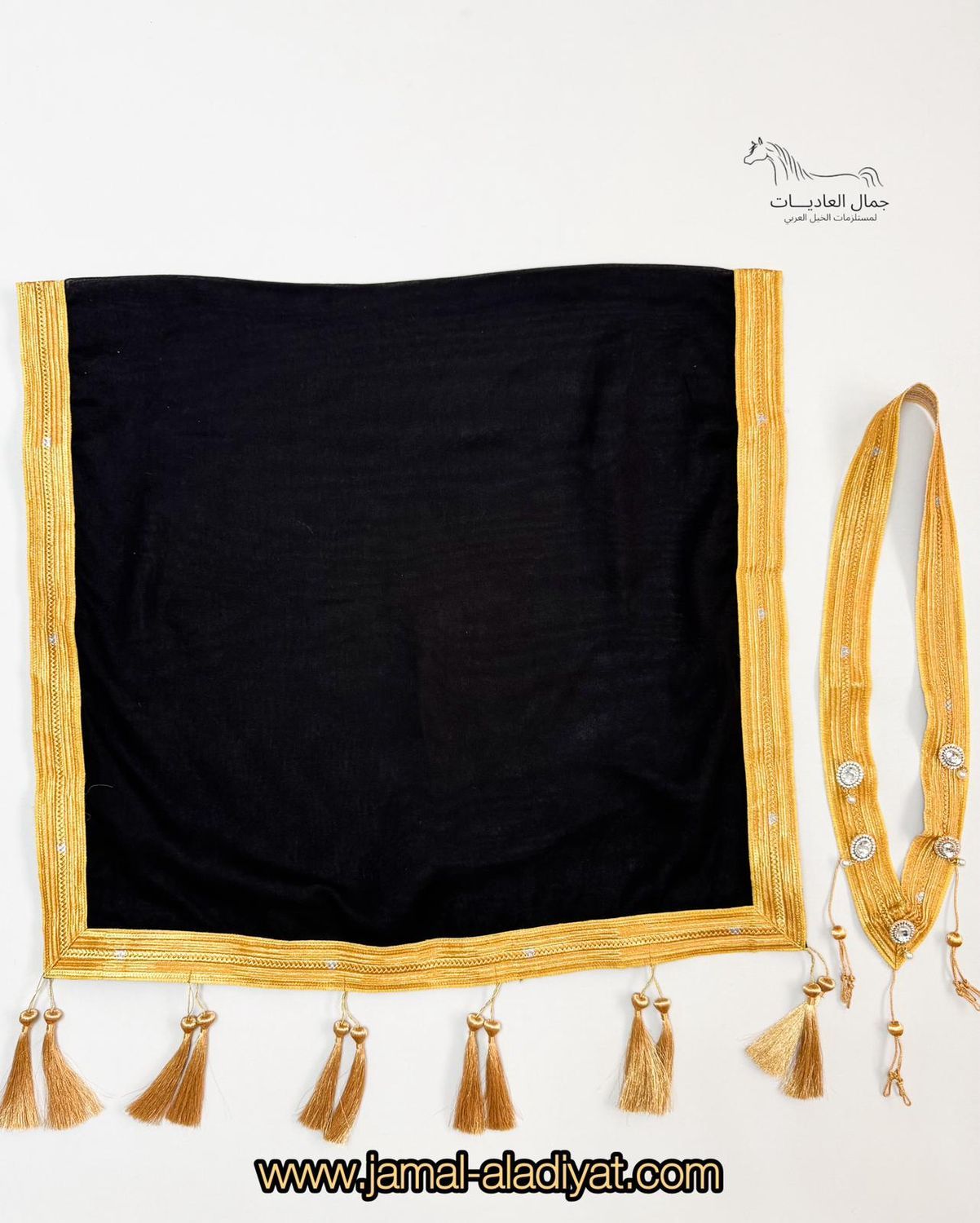 Necklace &amp; Scarf Albisht / Black With Gold