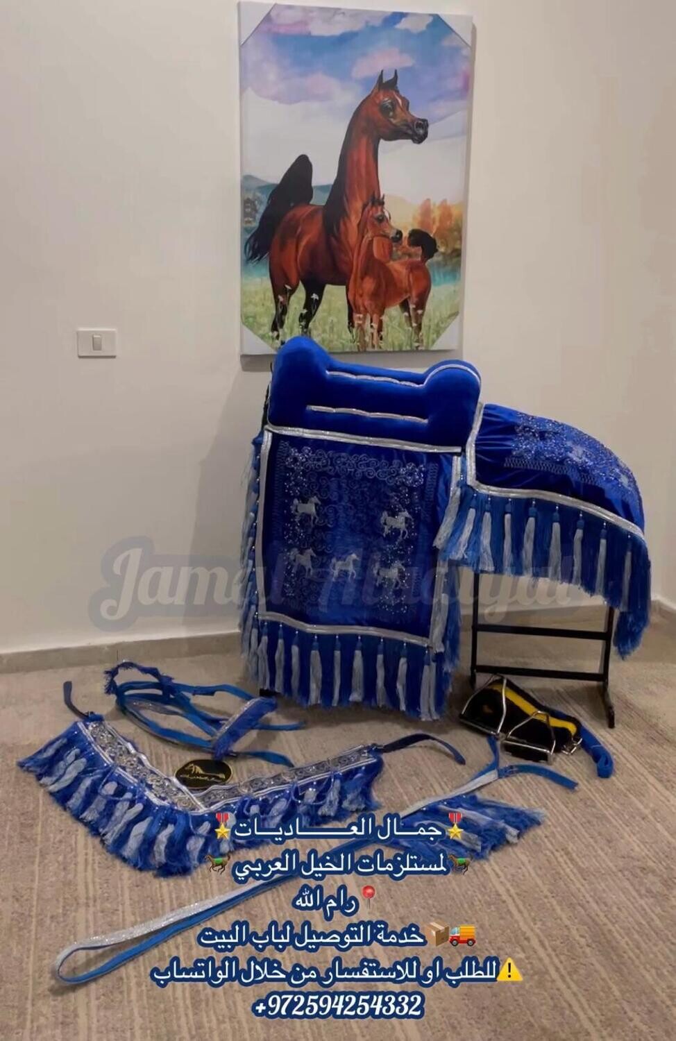 ِArabian Saddle With Long Tassel / Royal Blue