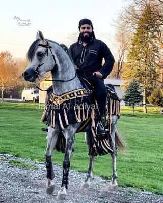 ِArabian Saddle With Long Tassel / Red With Gold