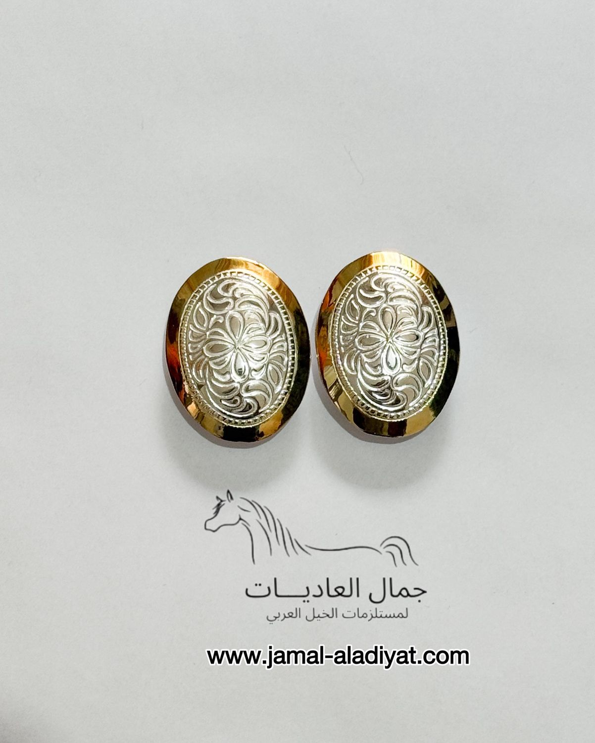 Arabian Horse Head Conchos / Silver With Gold Frame