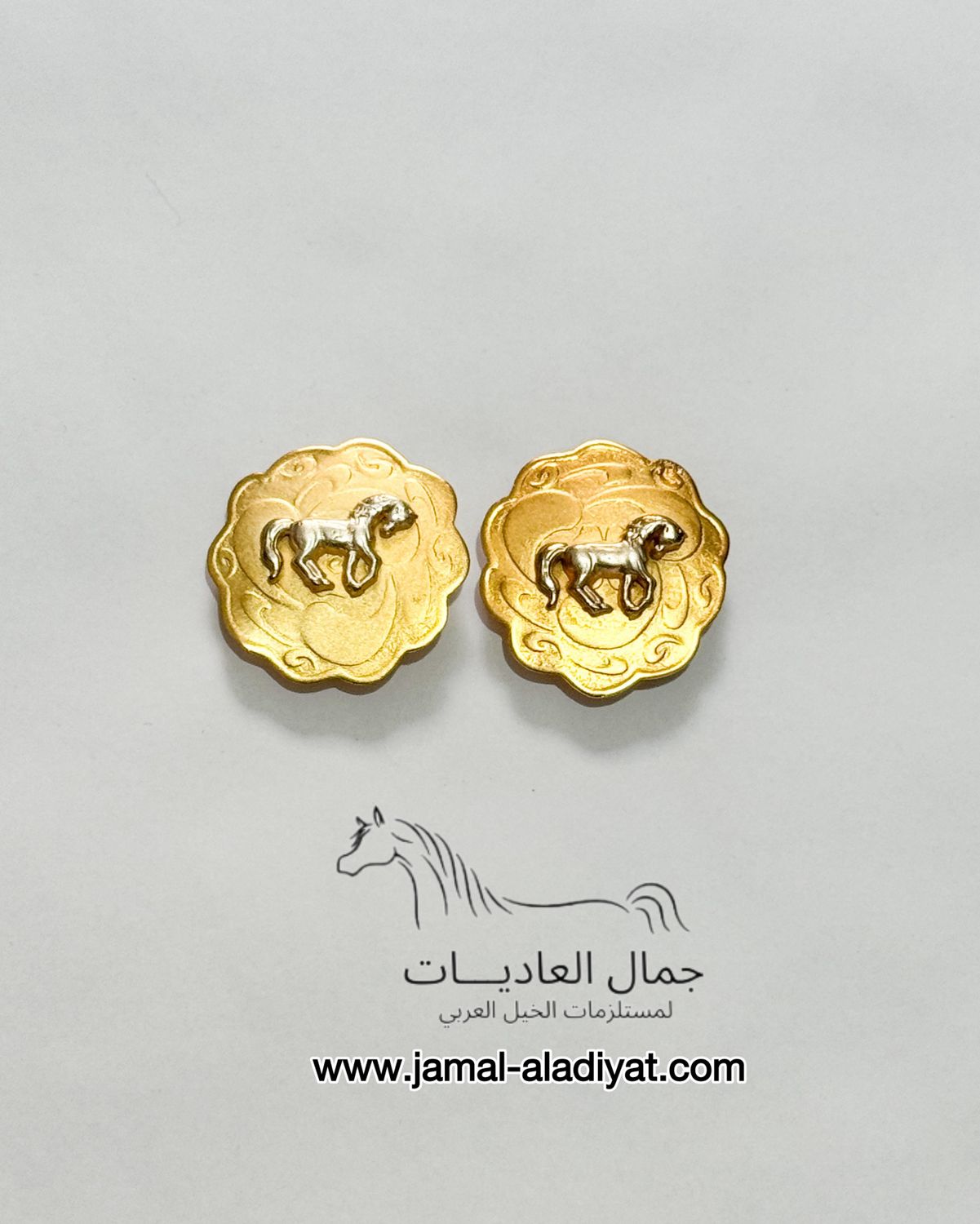 Arabian Horse Head Conchos / Gold With Silver Horse