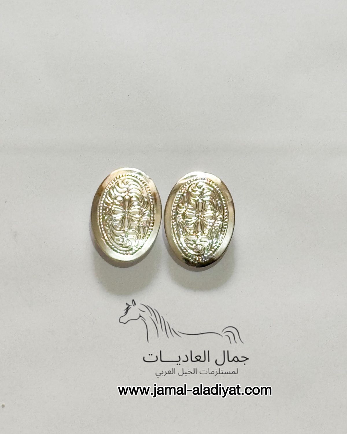 Arabian Horse Head Conchos / Silver