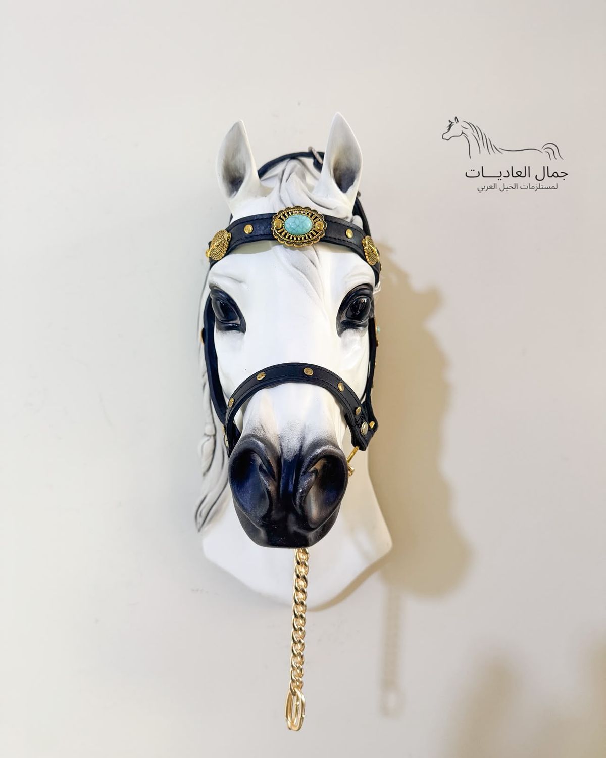 Arabian show halter under 6 months / Gold With Turquoise beads