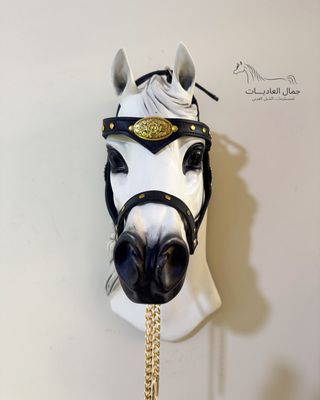 Arabian show halter under 6 months / Gold